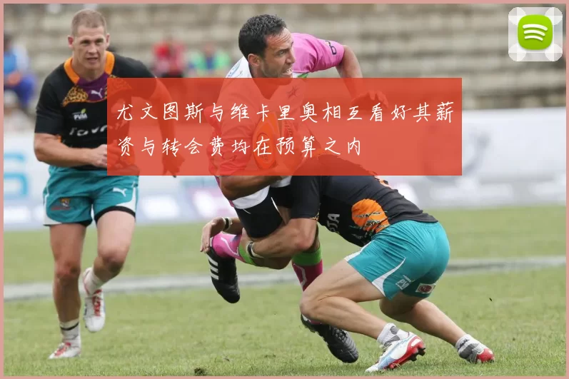 尤文图斯与维卡里奥相互看好其薪资与转会费均在预算之内