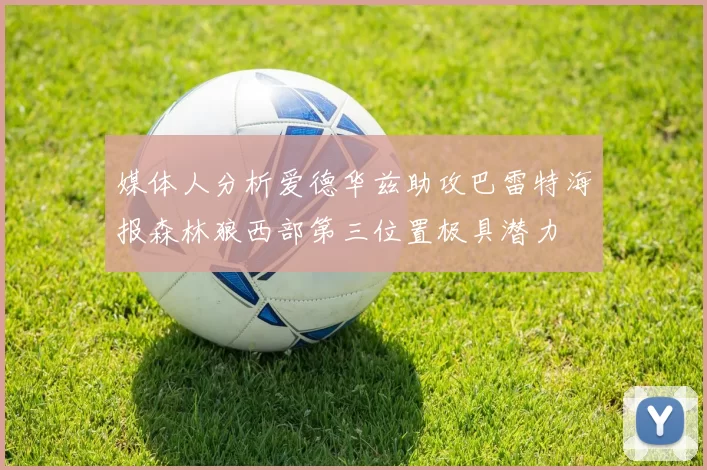 媒体人分析爱德华兹助攻巴雷特海报森林狼西部第三位置极具潜力